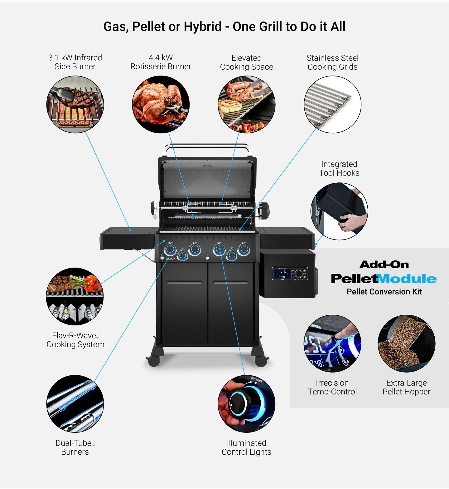 Grill Anatomy Image