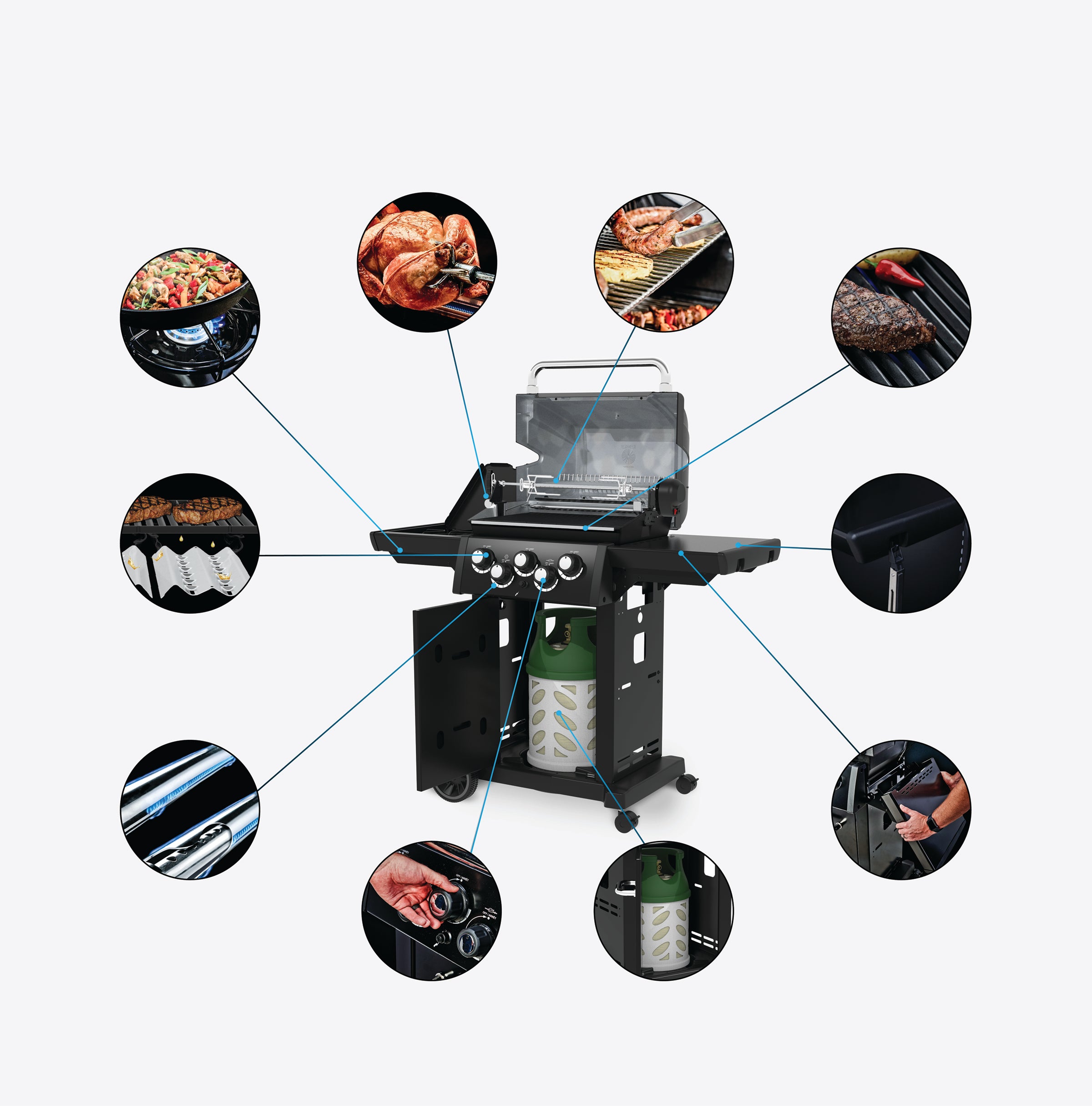Grill Anatomy Image